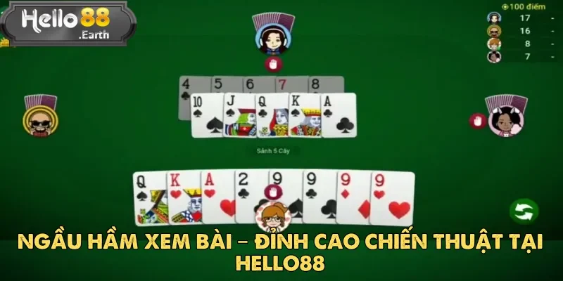ngau-ham-xem-bai