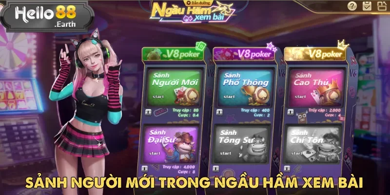 Ngầu Hầm Xem Bài – Đỉnh Cao Chiến Thuật Tại Hello88 2 Sảnh Người Mới là điểm khởi đầu lý tưởng cho game thủ Ngầu Hầm Xem Bài